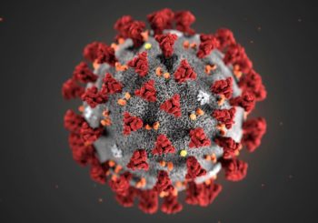 Consignes Covid 19 (Coronavirus)